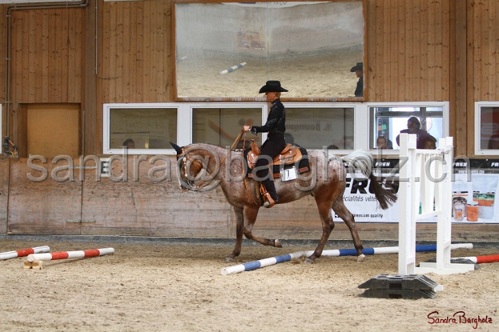 28-ApHC OT_162.jpg